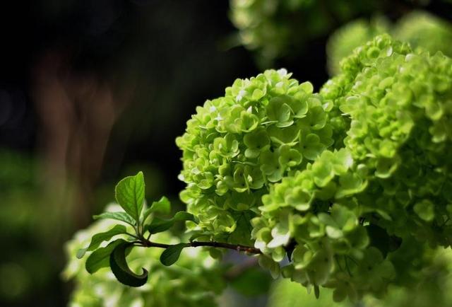 一個人，如果透支了這四樣東西，那就只能選擇隱居了