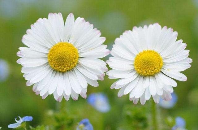 有些“幸福”很痛苦，要懂得早點放棄