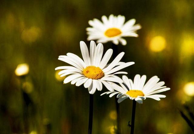 有些“幸福”很痛苦，要懂得早點放棄