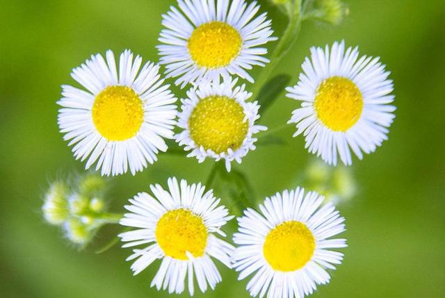 有些“幸福”很痛苦，要懂得早點放棄