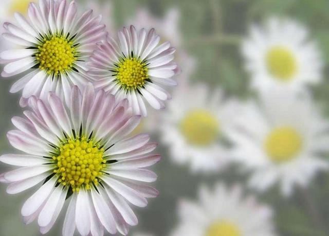 有些“幸福”很痛苦，要懂得早點放棄