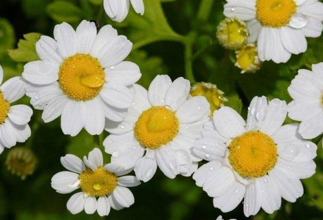 有些“幸福”很痛苦，要懂得早點放棄