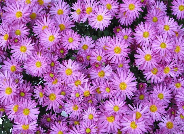 有些“幸福”很痛苦，要懂得早點放棄