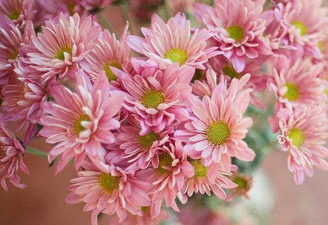 有些“幸福”很痛苦，要懂得早點放棄