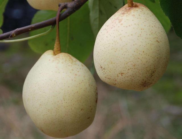 為什麼我們日子越過越憋屈？ 隔壁阿三對我說了真心話