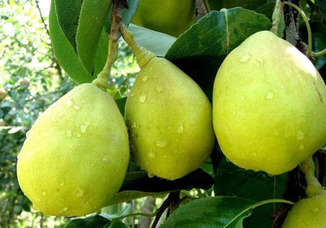 為什麼我們日子越過越憋屈？ 隔壁阿三對我說了真心話