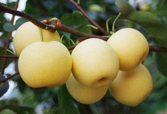 為什麼我們日子越過越憋屈？ 隔壁阿三對我說了真心話