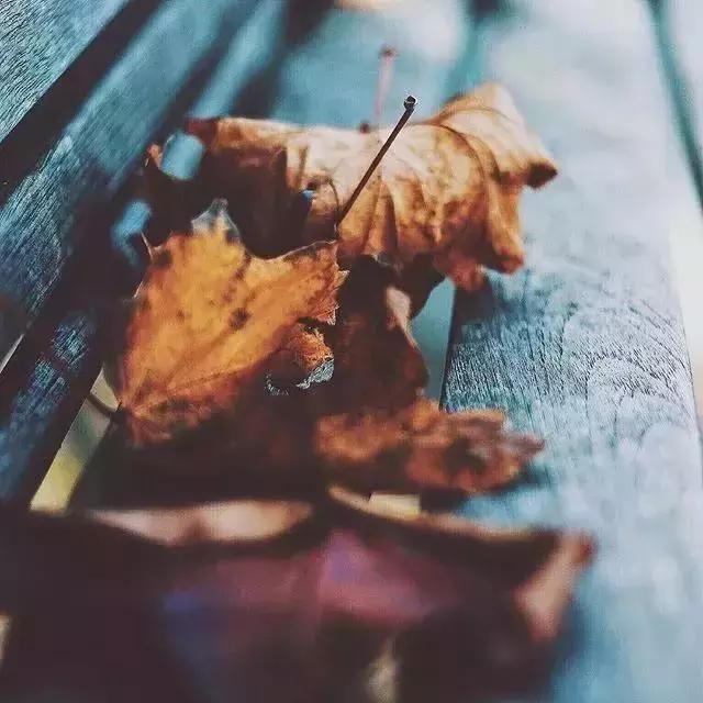 自己選的路，再難也要走！ （太對了）