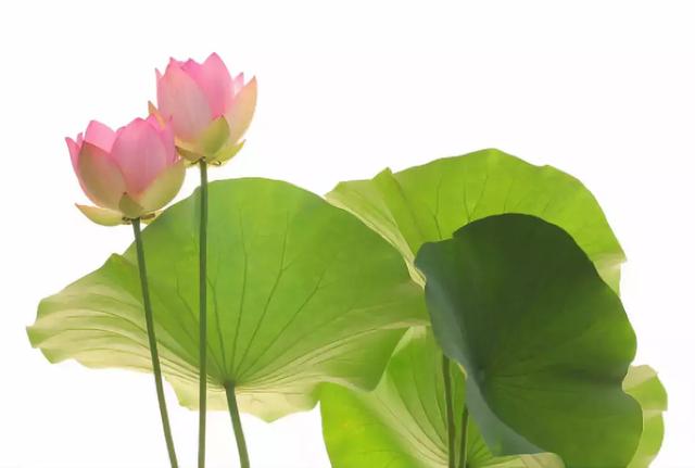 一生何求？ （好文）