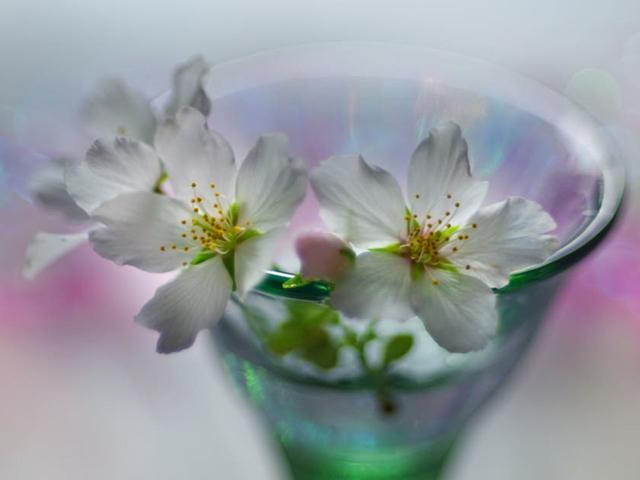 我們總是歷經的太快，但卻總是領悟的太遲