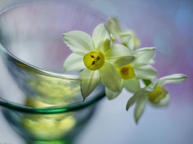 我們總是歷經的太快，但卻總是領悟的太遲