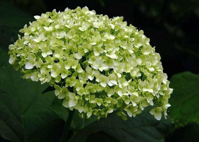 一個人，如果透支了這四樣東西，那就只能選擇隱居了