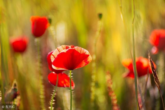 如果無可選擇，那就欣然接受