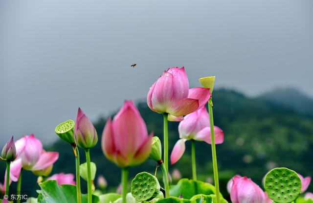 此生為人，就要做一個好人！ 《建議都看看》
