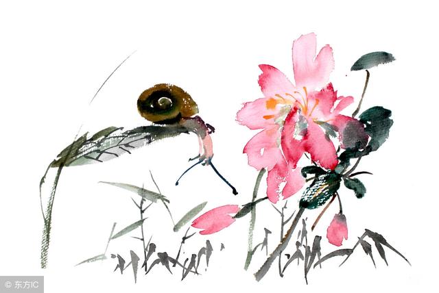 這就是幸福，就是財富！ 《朋友圈都在轉》