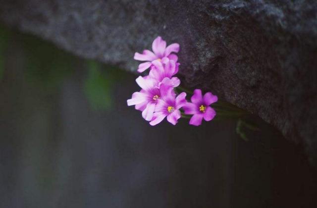 活著，要學會忍辱負重