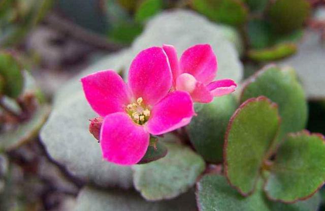 活著，要學會忍辱負重