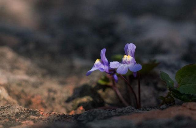 活著，要學會忍辱負重