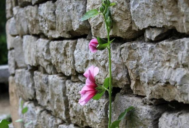 活著，要學會忍辱負重