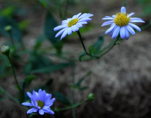 活著，要學會忍辱負重