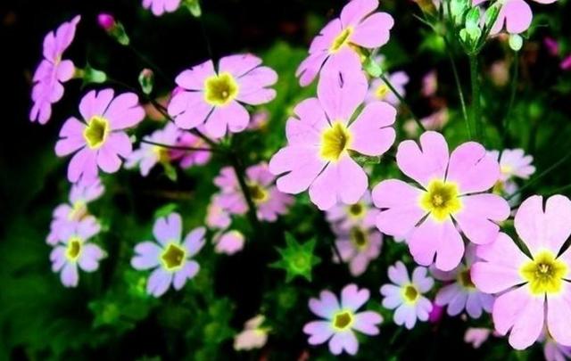 活著，要學會忍辱負重