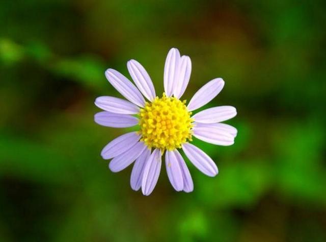 當你越來越沉默的時候，就是你開始放棄這些東西的時候