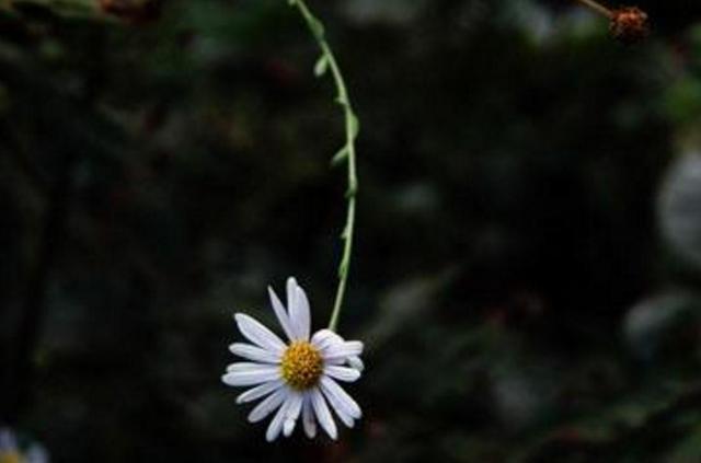 當你越來越沉默的時候，就是你開始放棄這些東西的時候