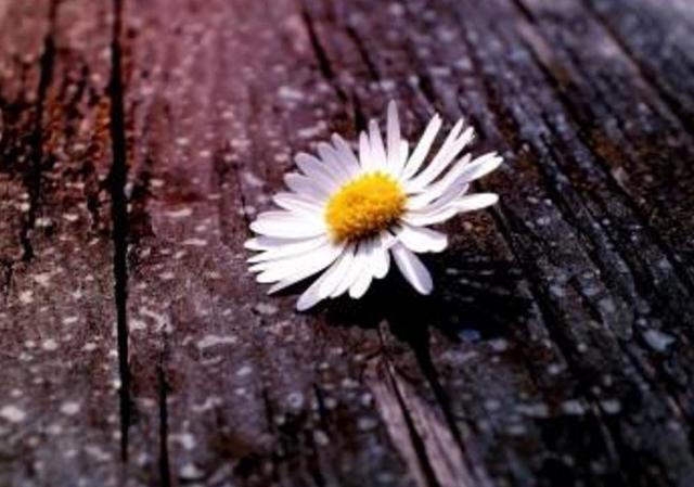 當你越來越沉默的時候，就是你開始放棄這些東西的時候