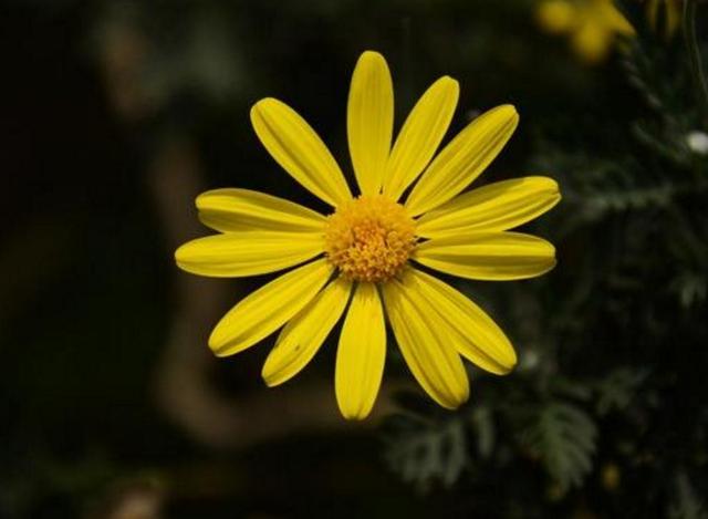 當你越來越沉默的時候，就是你開始放棄這些東西的時候