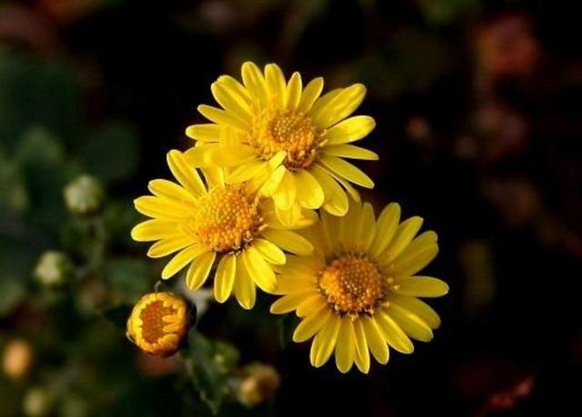 當你越來越沉默的時候，就是你開始放棄這些東西的時候