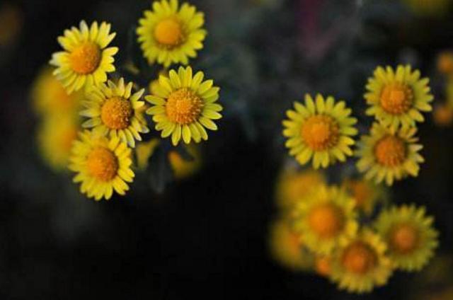 當你越來越沉默的時候，就是你開始放棄這些東西的時候