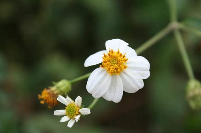 當你越來越沉默的時候，就是你開始放棄這些東西的時候