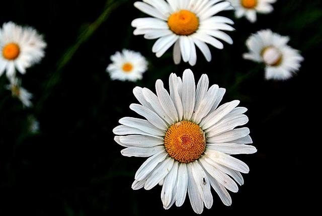 當你越來越沉默的時候，就是你開始放棄這些東西的時候