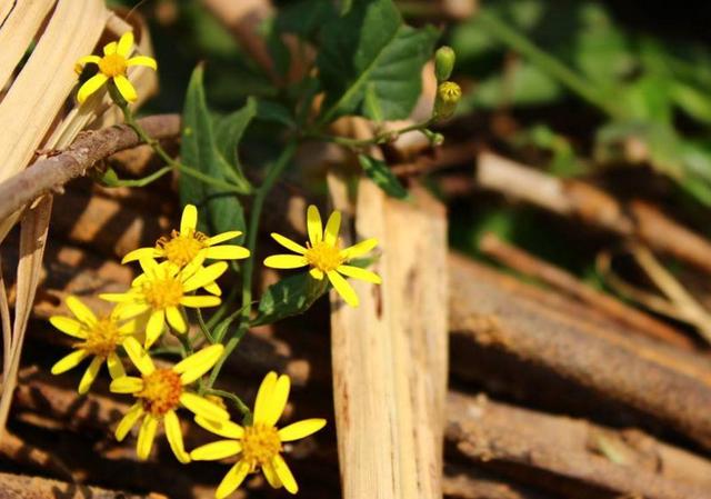 當你越來越沉默的時候，就是你開始放棄這些東西的時候