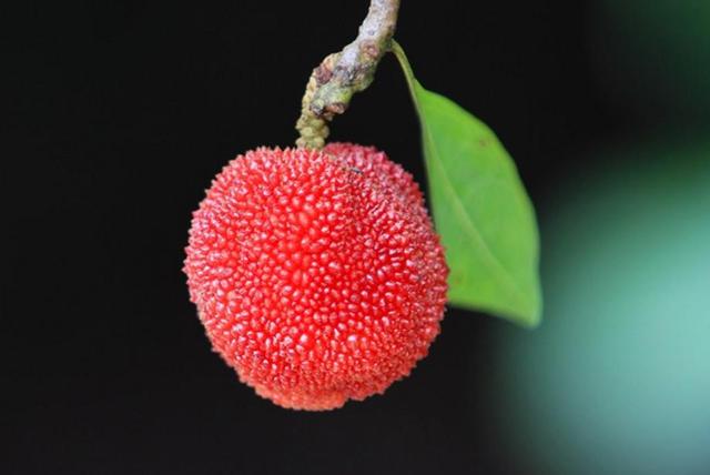 做人，最大的成功，就是過好自己的生活