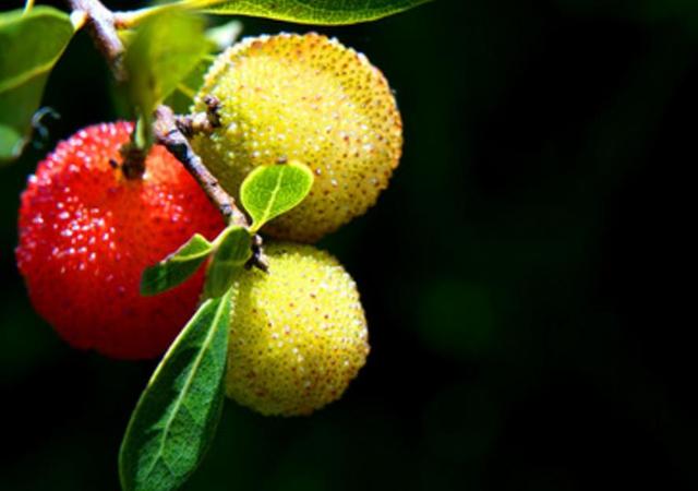 做人，最大的成功，就是過好自己的生活