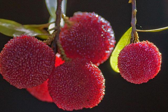 做人，最大的成功，就是過好自己的生活