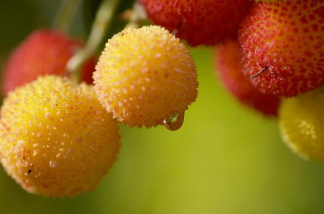 做人，最大的成功，就是過好自己的生活