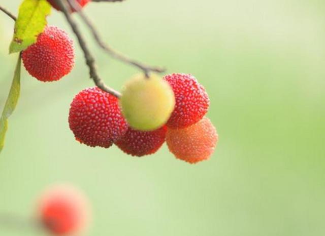 做人，最大的成功，就是過好自己的生活