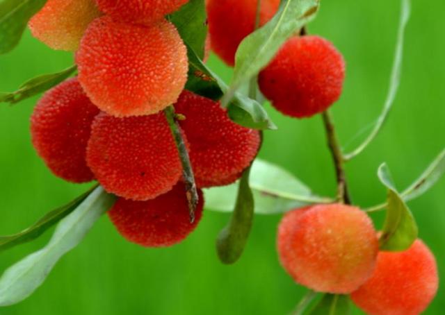 做人，最大的成功，就是過好自己的生活