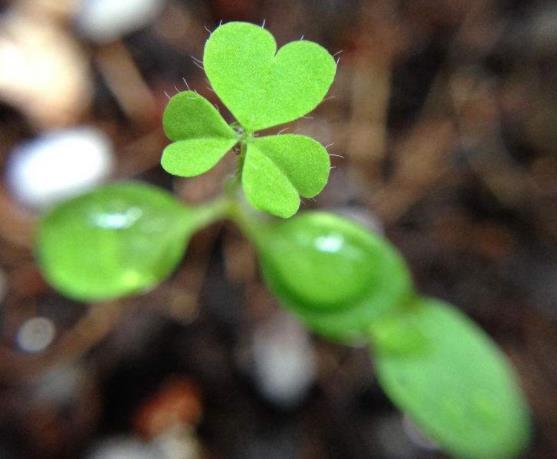 有這四種特徵的人，人生將有不祥之兆，越早警醒越好
