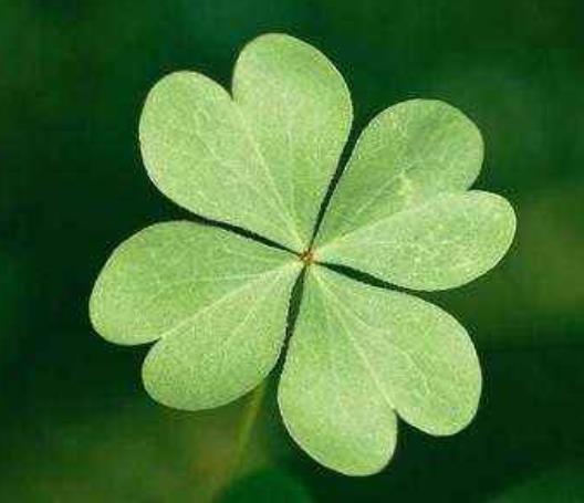 有這四種特徵的人，人生將有不祥之兆，越早警醒越好