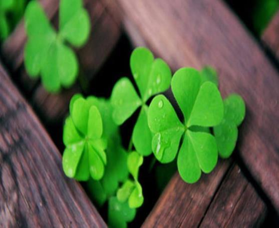 有這四種特徵的人，人生將有不祥之兆，越早警醒越好