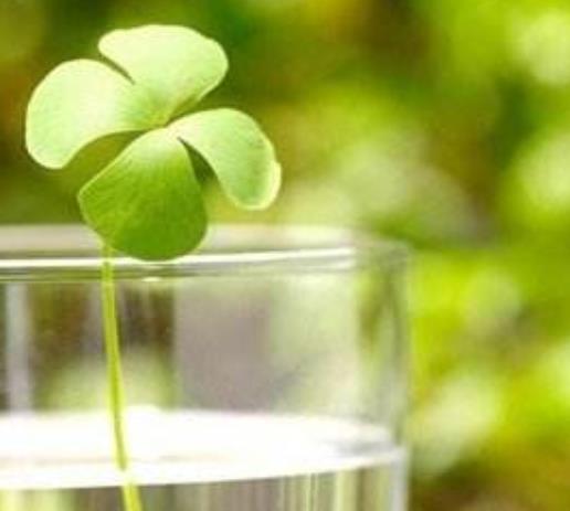 有這四種特徵的人，人生將有不祥之兆，越早警醒越好