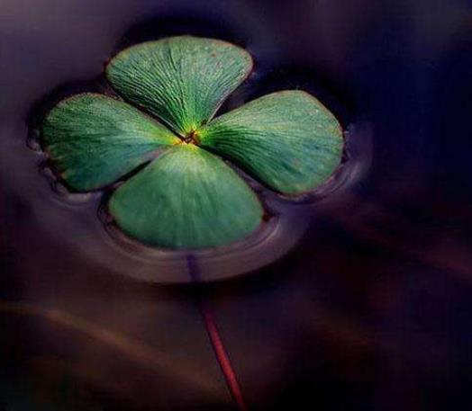 有這四種特徵的人，人生將有不祥之兆，越早警醒越好