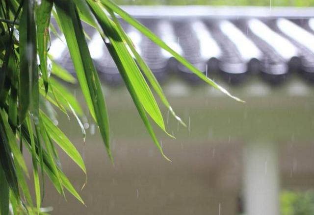 餘生太深，要學會繞行