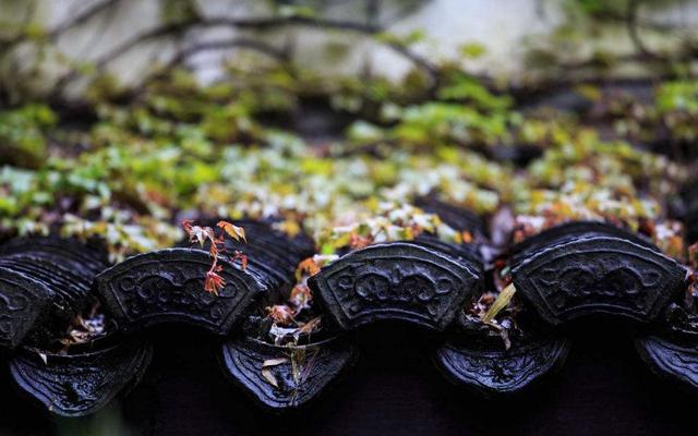 餘生太深，要學會繞行