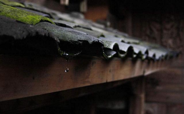 餘生太深，要學會繞行