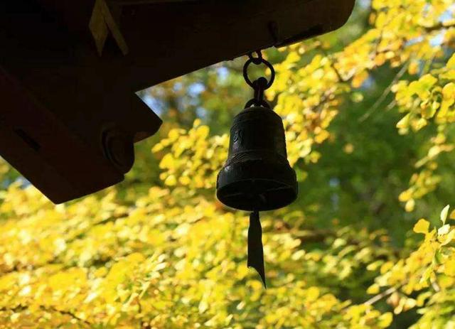 餘生太深，要學會繞行