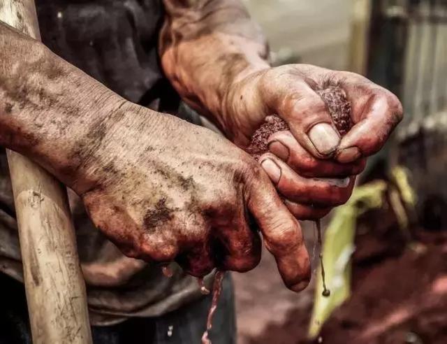 致每一個為生活努力奮鬥的人！